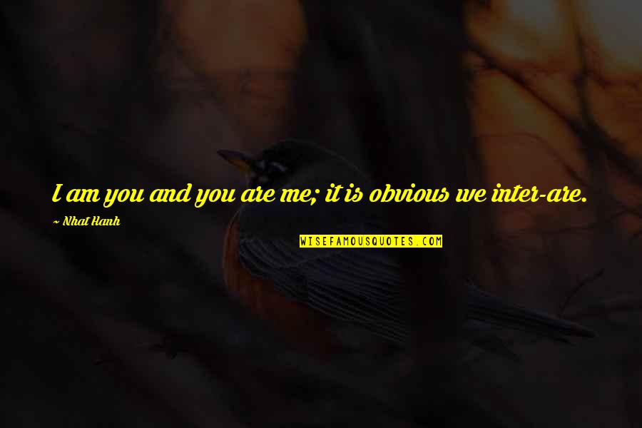 Oppervlakte Van Quotes By Nhat Hanh: I am you and you are me; it