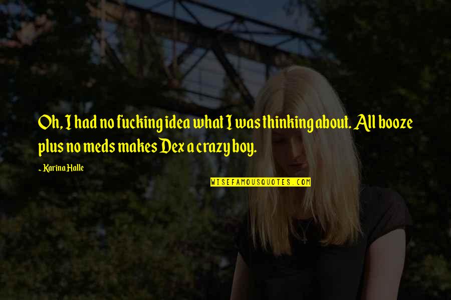 Oppisites Quotes By Karina Halle: Oh, I had no fucking idea what I