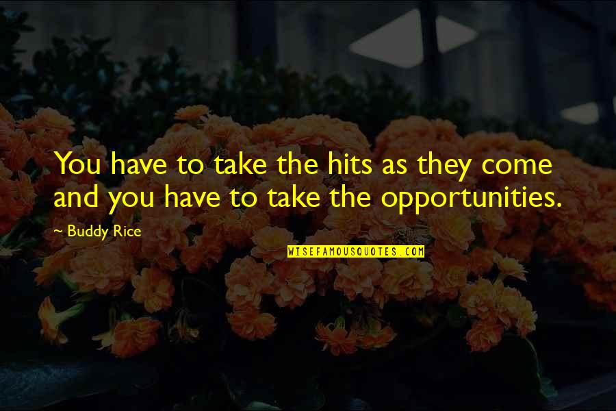 Opportunities And Quotes By Buddy Rice: You have to take the hits as they