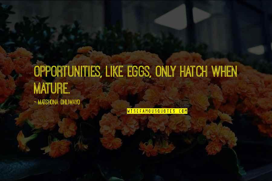 Opportunities Quotes And Quotes By Matshona Dhliwayo: Opportunities, like eggs, only hatch when mature.