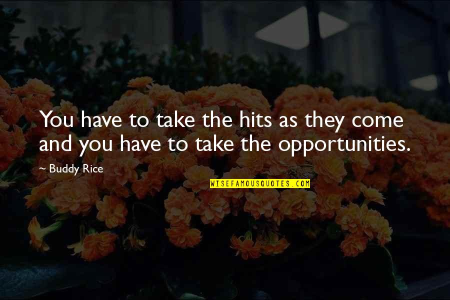 Opportunities Quotes By Buddy Rice: You have to take the hits as they