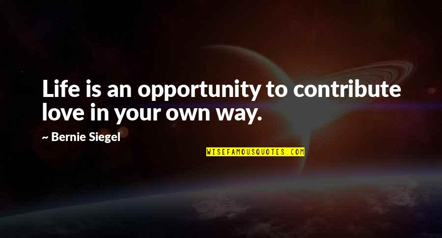 Opportunity In Life Quotes By Bernie Siegel: Life is an opportunity to contribute love in