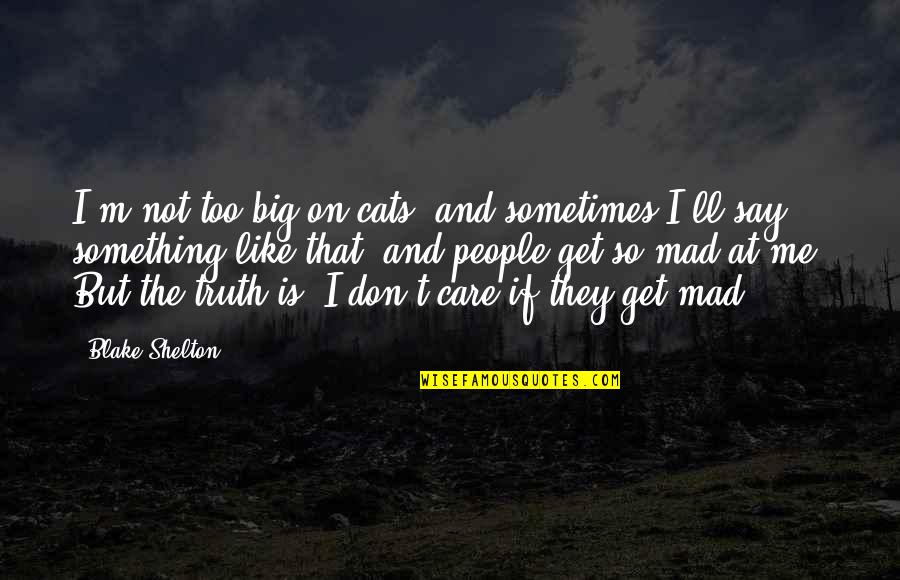 Opportunity Is Created Quotes By Blake Shelton: I'm not too big on cats, and sometimes