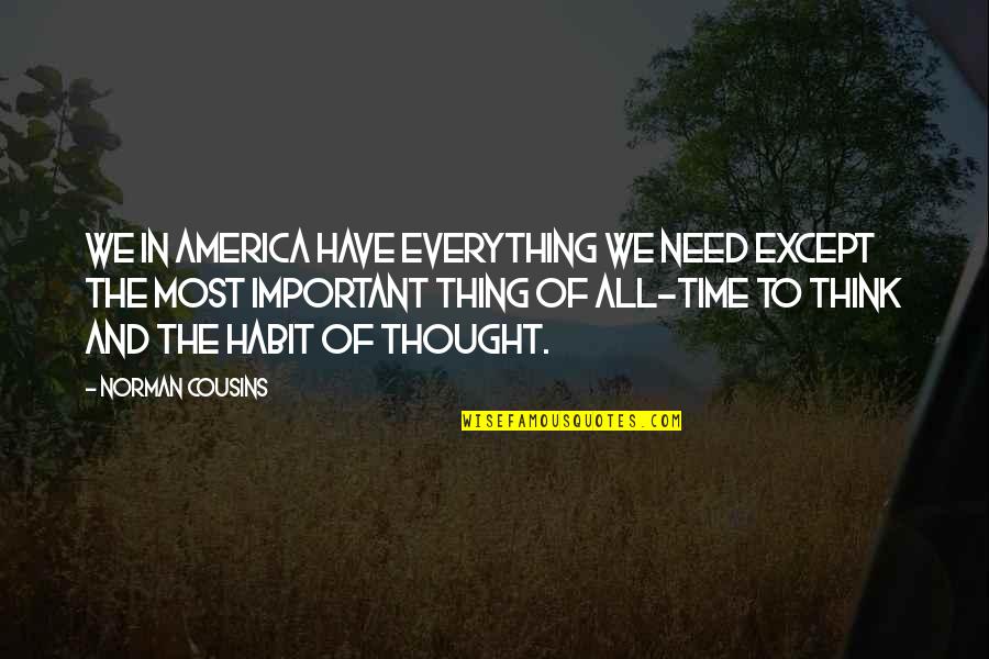 Opportunity Knocks Once In A Lifetime Quotes By Norman Cousins: We in America have everything we need except