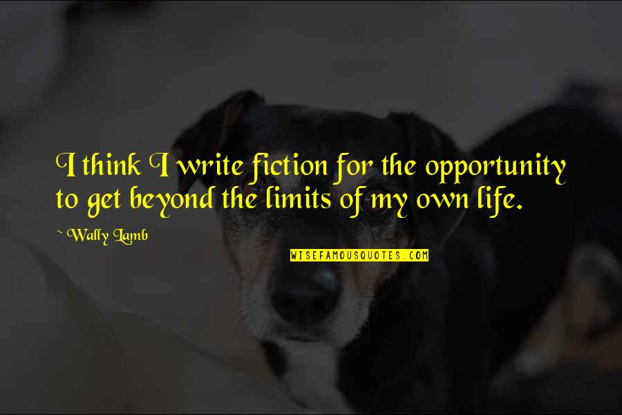 Opportunity Of Life Quotes By Wally Lamb: I think I write fiction for the opportunity