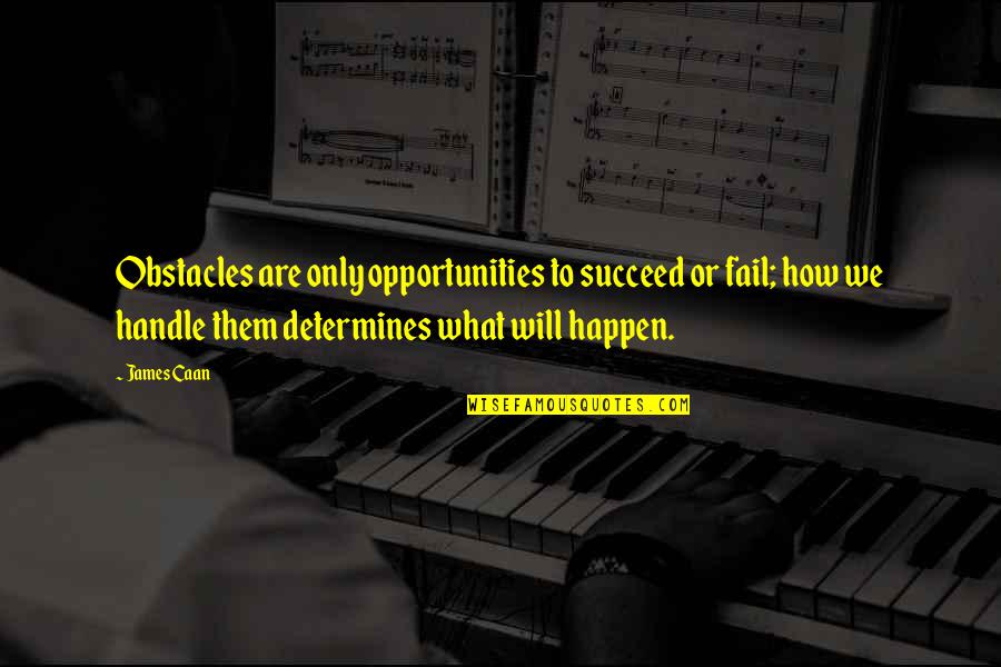 Opportunity To Succeed Quotes By James Caan: Obstacles are only opportunities to succeed or fail;