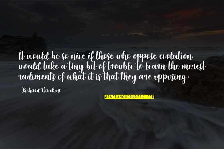 Opposing Quotes By Richard Dawkins: It would be so nice if those who