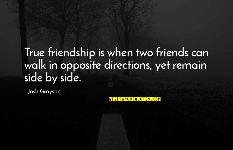 Opposite Friendship Quotes By Josh Grayson: True friendship is when two friends can walk