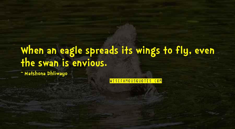 Oppositve Quotes By Matshona Dhliwayo: When an eagle spreads its wings to fly,