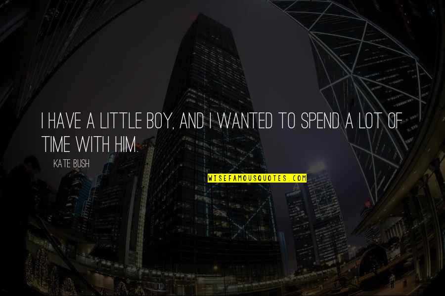 Oppressive Debt Quotes By Kate Bush: I have a little boy, and I wanted