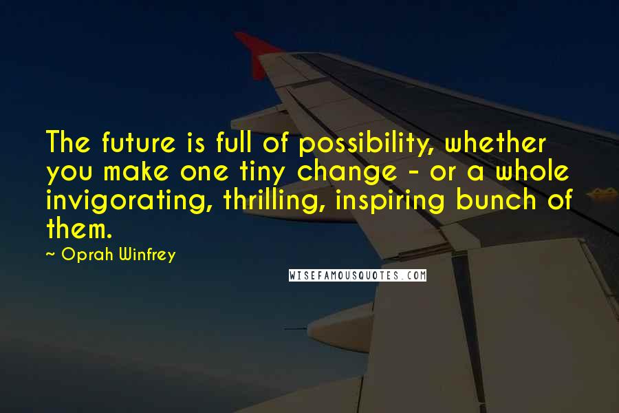 Oprah Winfrey quotes: The future is full of possibility, whether you make one tiny change - or a whole invigorating, thrilling, inspiring bunch of them.