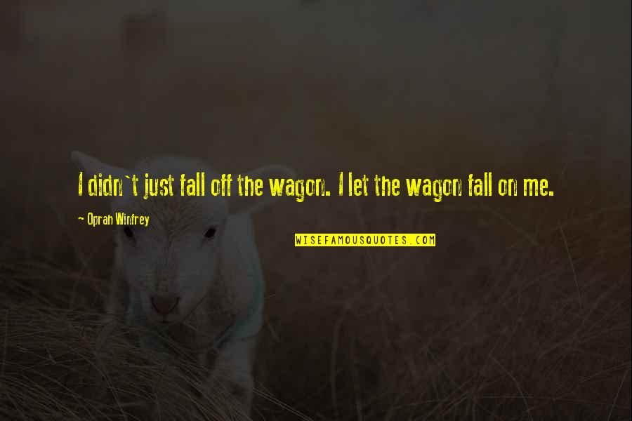 Oprah Winfrey Quotes By Oprah Winfrey: I didn't just fall off the wagon. I