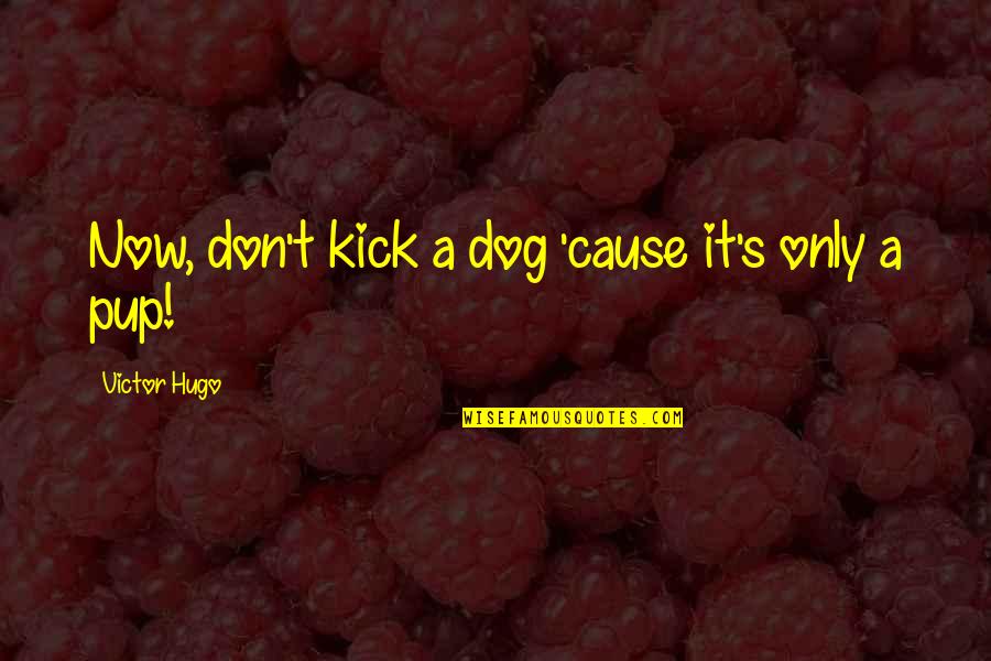 Oprahside Quotes By Victor Hugo: Now, don't kick a dog 'cause it's only