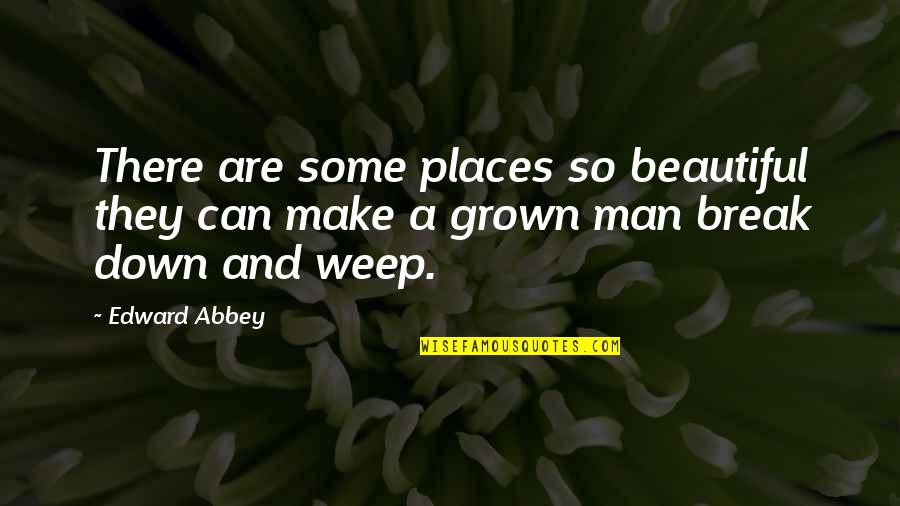 Options And Priorities Quotes By Edward Abbey: There are some places so beautiful they can