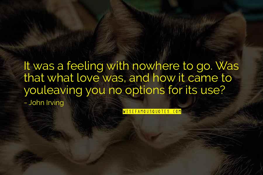 Options In Love Quotes By John Irving: It was a feeling with nowhere to go.