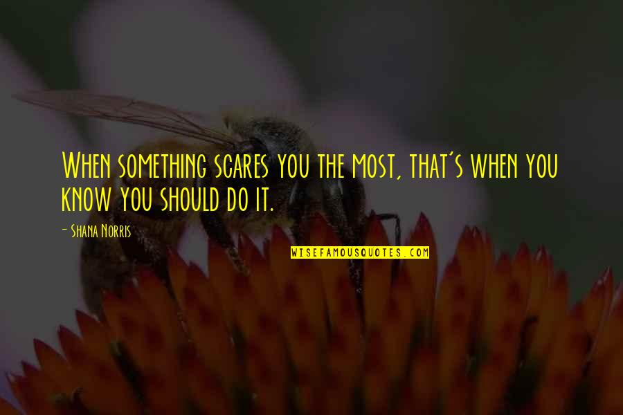 Optometrists Quotes By Shana Norris: When something scares you the most, that's when