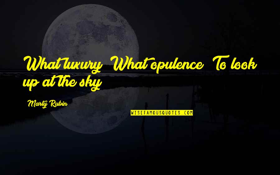 Opulence Quotes By Marty Rubin: What luxury! What opulence! To look up at
