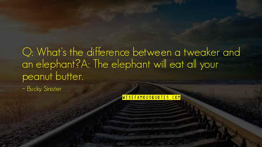 Opulento Sinonimo Quotes By Bucky Sinister: Q: What's the difference between a tweaker and Opulento Sinonimo Quotes By Bucky Sinister: Q: What's the difference between a tweaker and