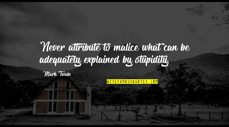 Oq Sao Quotes By Mark Twain: Never attribute to malice what can be adequately