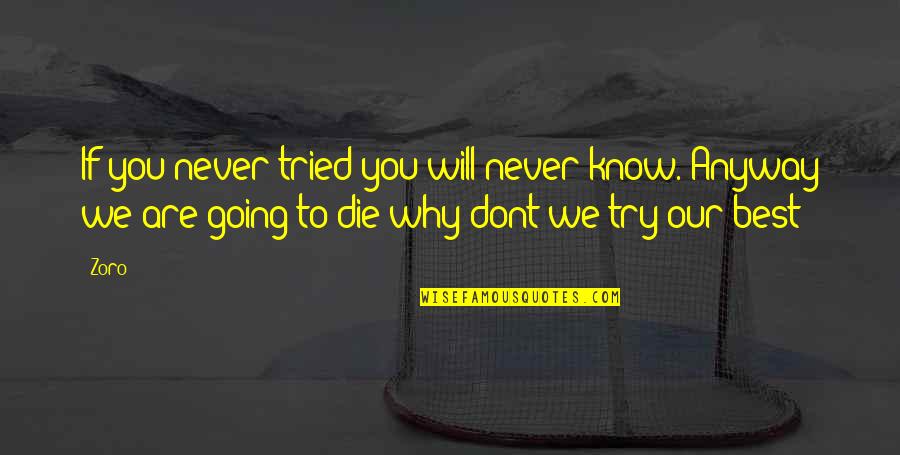 Or Die Trying Quotes By Zoro: If you never tried you will never know.