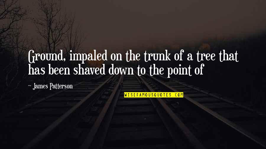 Oraao Quotes By James Patterson: Ground, impaled on the trunk of a tree