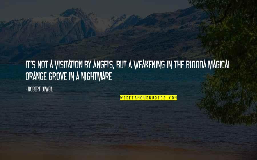 Orange Grove Quotes By Robert Lowell: It's not a visitation by angels, but a