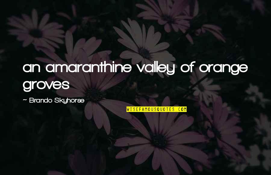 Orange Groves Quotes By Brando Skyhorse: an amaranthine valley of orange groves