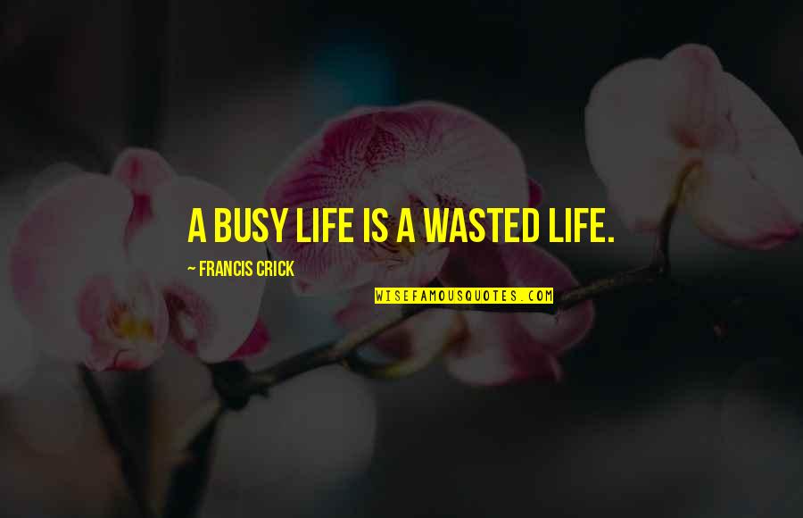 Orangerie Home Quotes By Francis Crick: A busy life is a wasted life. Orangerie Home Quotes By Francis Crick: A busy life is a wasted life.