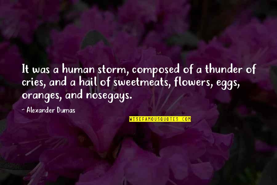 Oranges Quotes By Alexander Dumas: It was a human storm, composed of a