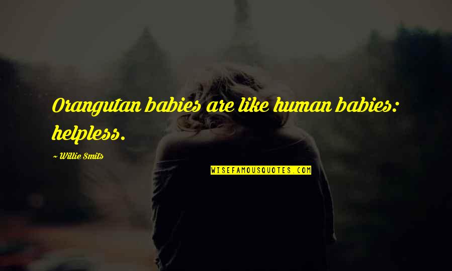Orangutan Quotes By Willie Smits: Orangutan babies are like human babies: helpless.