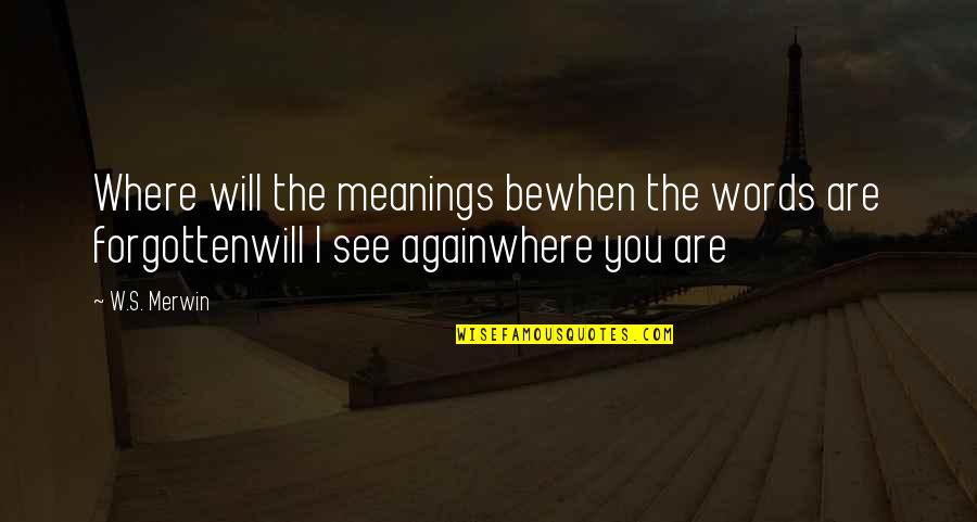 Orayna Quotes By W.S. Merwin: Where will the meanings bewhen the words are