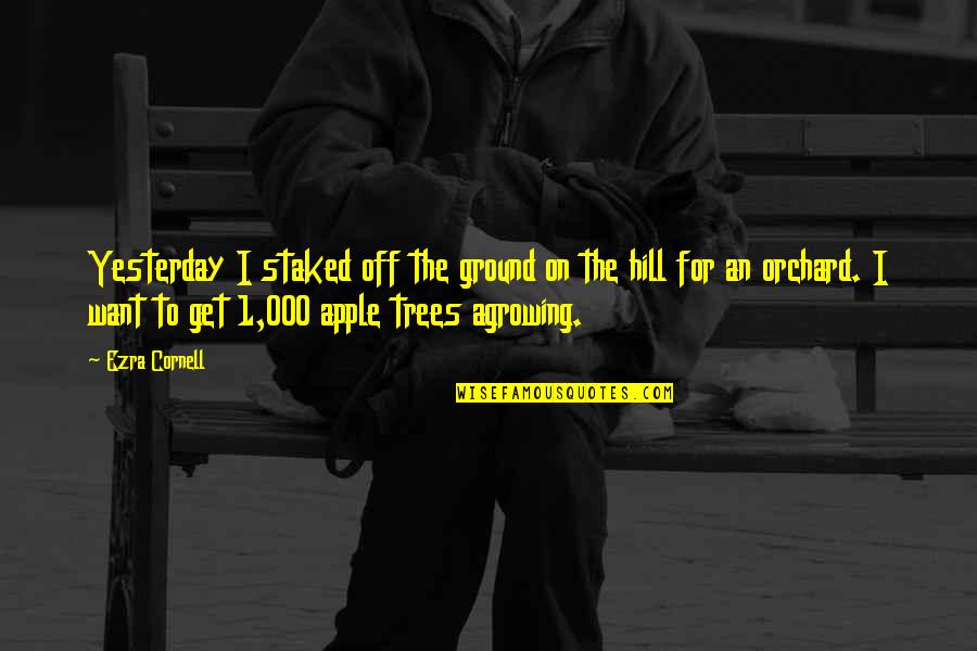 Orchard Quotes By Ezra Cornell: Yesterday I staked off the ground on the Orchard Quotes By Ezra Cornell: Yesterday I staked off the ground on the