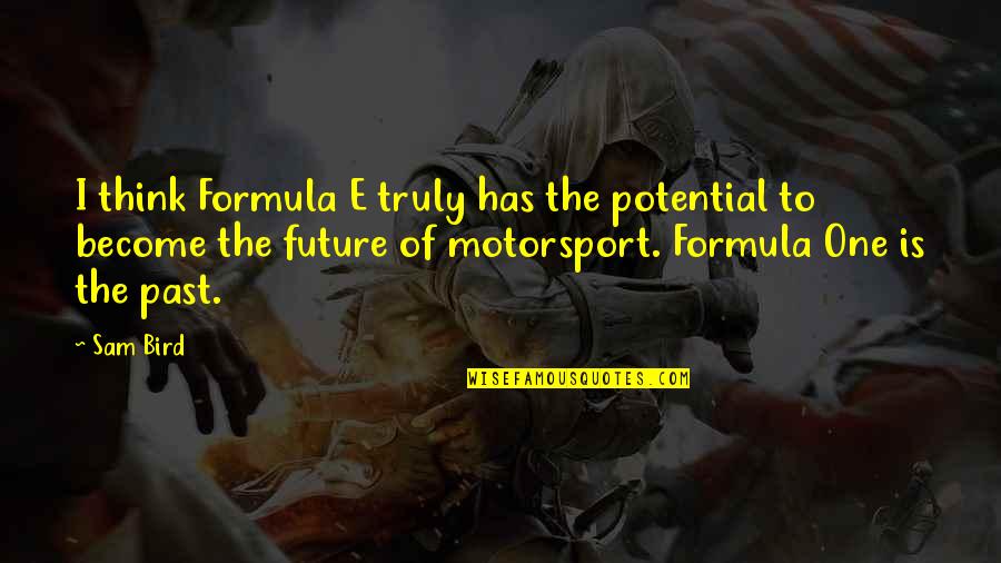 Orcs Were Once Elves Quote Quotes By Sam Bird: I think Formula E truly has the potential