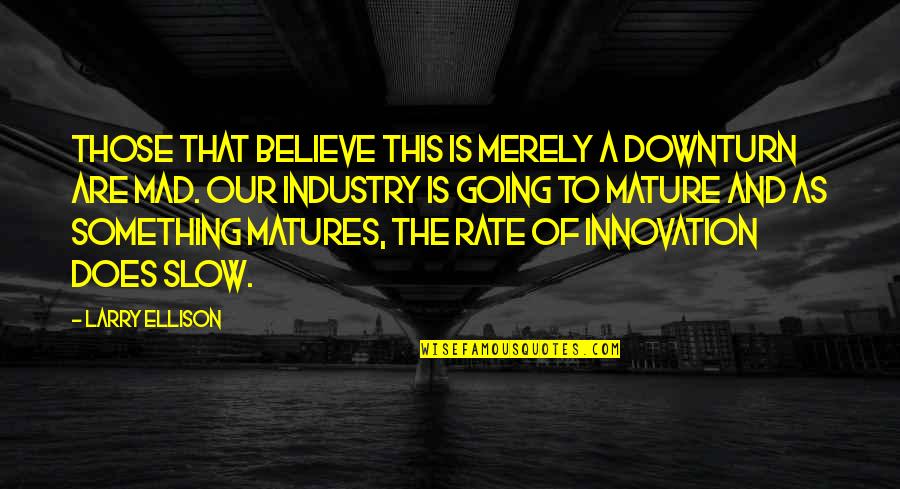 Order And Chaos Quote Quotes By Larry Ellison: Those that believe this is merely a downturn