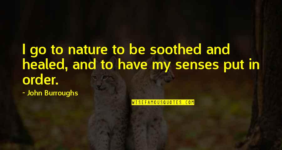 Order In Nature Quotes By John Burroughs: I go to nature to be soothed and