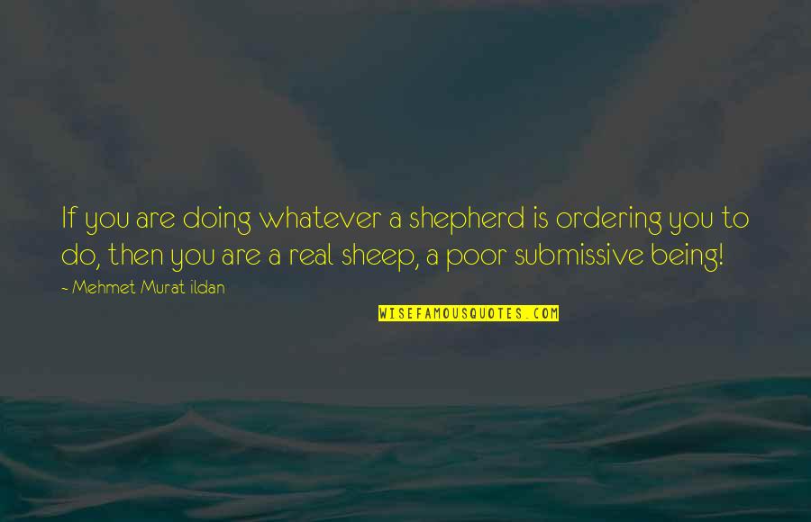 Ordering Quotes By Mehmet Murat Ildan: If you are doing whatever a shepherd is