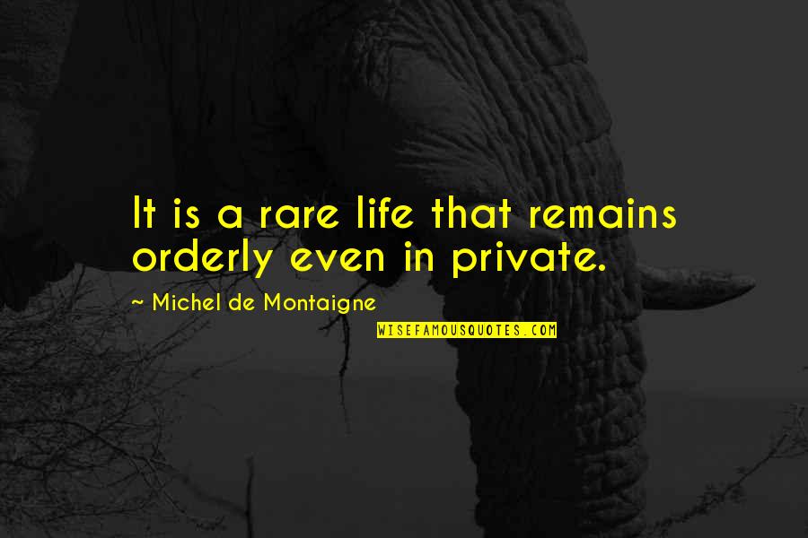 Orderliness Quotes By Michel De Montaigne: It is a rare life that remains orderly