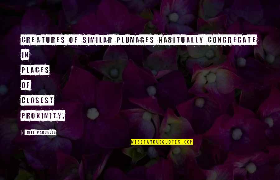 Ordinary Courage Quotes By Bill Parcells: Creatures of similar plumages habitually congregate in places
