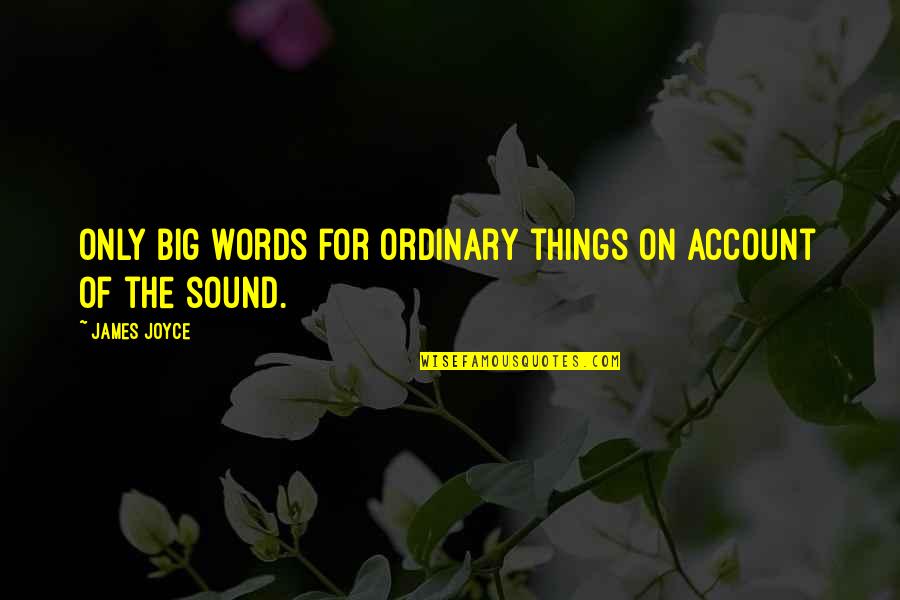 Ordinary Language Quotes By James Joyce: Only big words for ordinary things on account