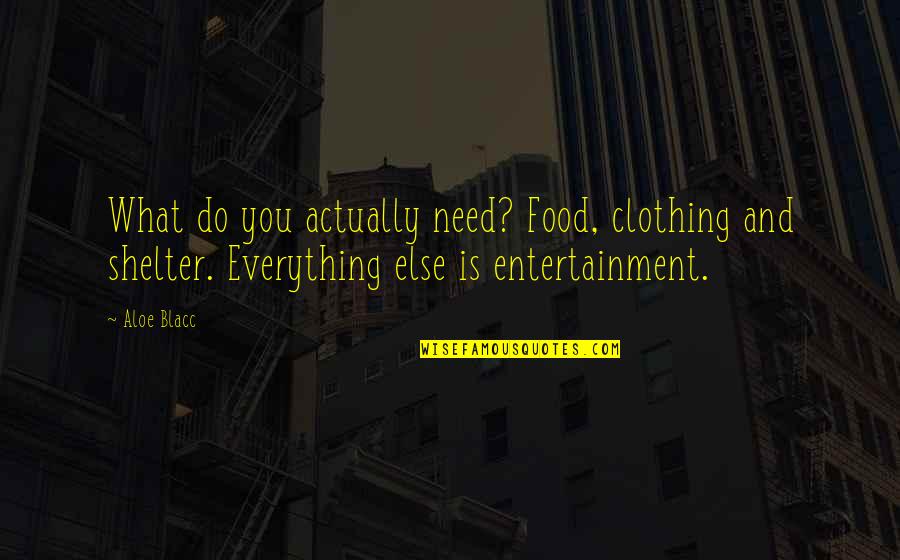Ordinea Zilei Quotes By Aloe Blacc: What do you actually need? Food, clothing and