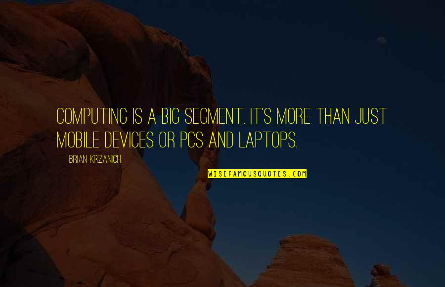 Orejas De Unicornio Quotes By Brian Krzanich: Computing is a big segment. It's more than