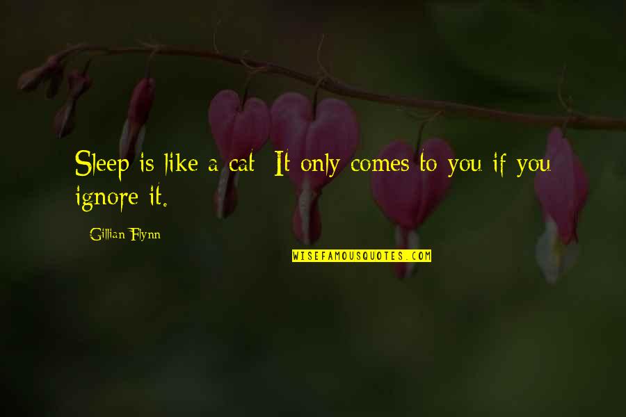 Oremos In English Quotes By Gillian Flynn: Sleep is like a cat: It only comes Oremos In English Quotes By Gillian Flynn: Sleep is like a cat: It only comes