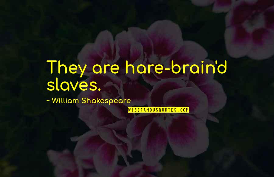 Orenstein Bounty Quotes By William Shakespeare: They are hare-brain'd slaves.