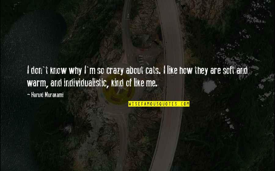 Orfebre Definicion Quotes By Haruki Murakami: I don't know why I'm so crazy about