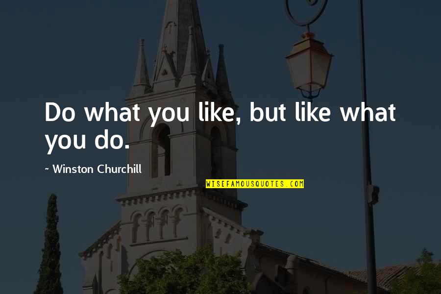 Org Culture Quotes By Winston Churchill: Do what you like, but like what you