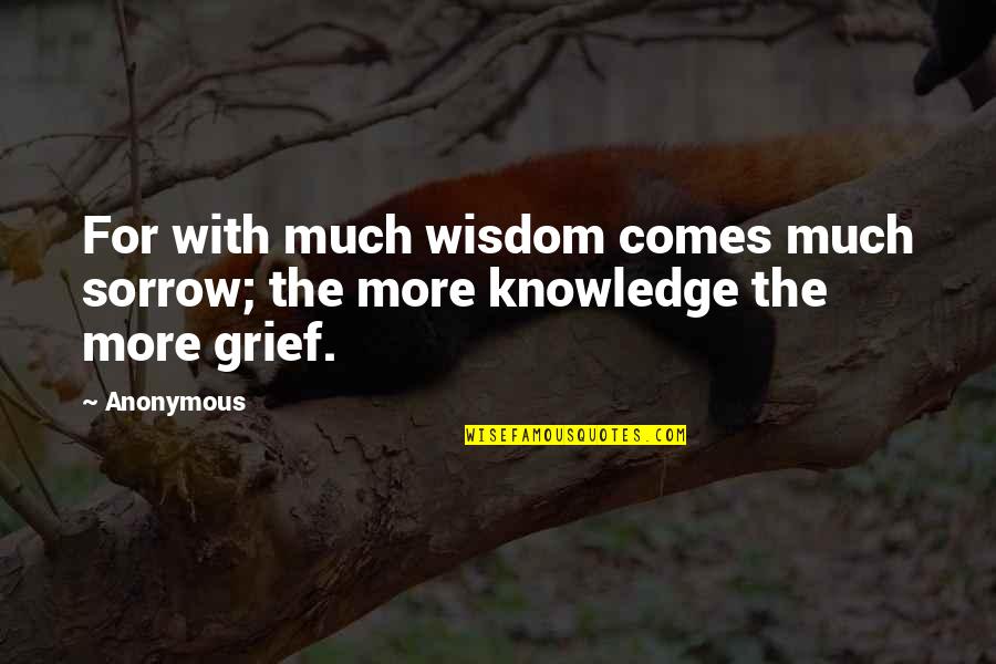 Orgami Quotes By Anonymous: For with much wisdom comes much sorrow; the