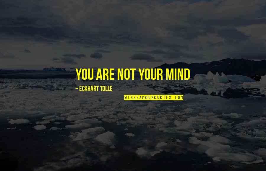 Organic Beauty Products Quotes By Eckhart Tolle: You are not your mind