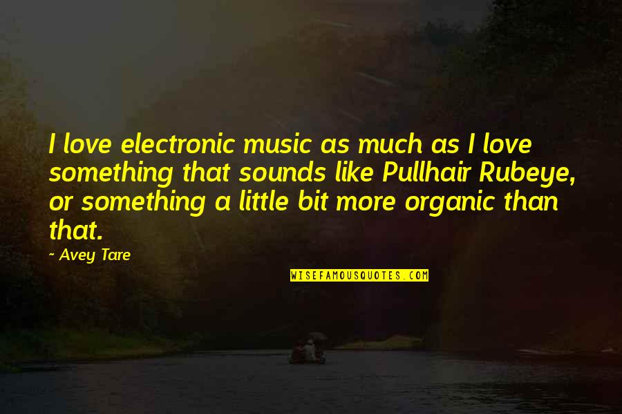 Organic Love Quotes By Avey Tare: I love electronic music as much as I
