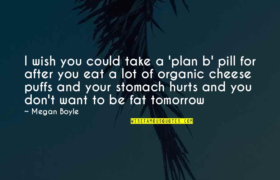 Organic Quotes By Megan Boyle: I wish you could take a 'plan b'