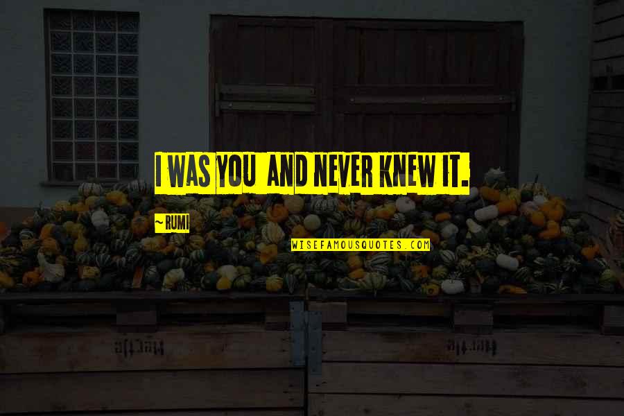 Organisational Skills Quotes By Rumi: I was you and never knew it.